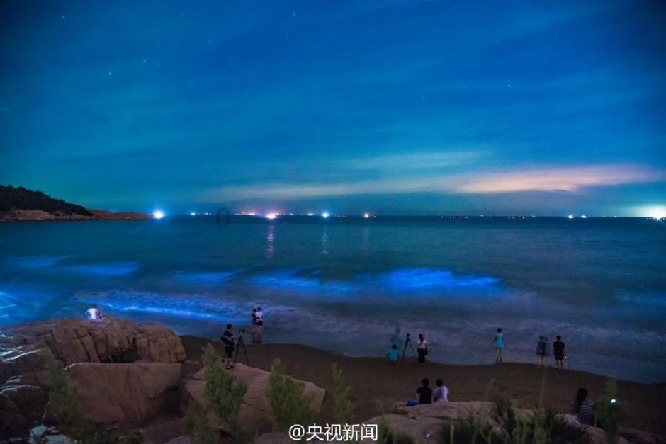 救援大胡子斗士