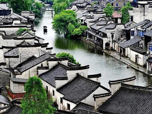 昆明动物园2只猫体检结果公布：最大的问题是心理，将做节育手术